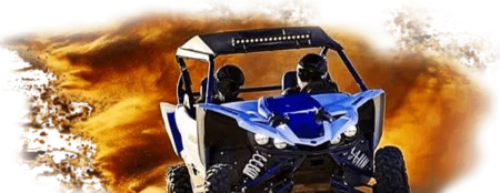 Buggy Polaris RZR | 570