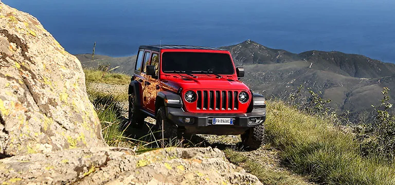 Cat FM3 – Jeep Wrangler | Unlimited Sahara 4X4 – open