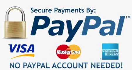 PayPal Secure Page