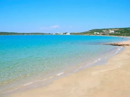 Paros langeri bech